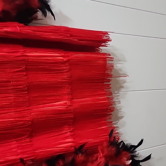 Flappers Coustume. - Picture 3 of 3